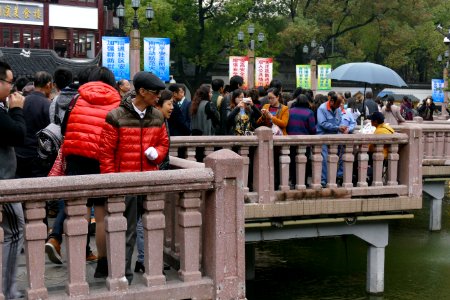 2014.11.16.121219_Jiuqu_Bridge_Yuyuan_Park_Shanghai