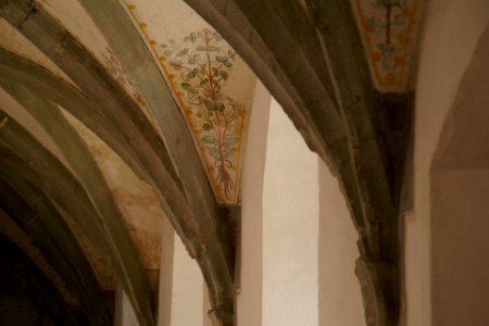 2014.07.19.183948_Frescoes_cloister_Kloster_Heiligkreuztal