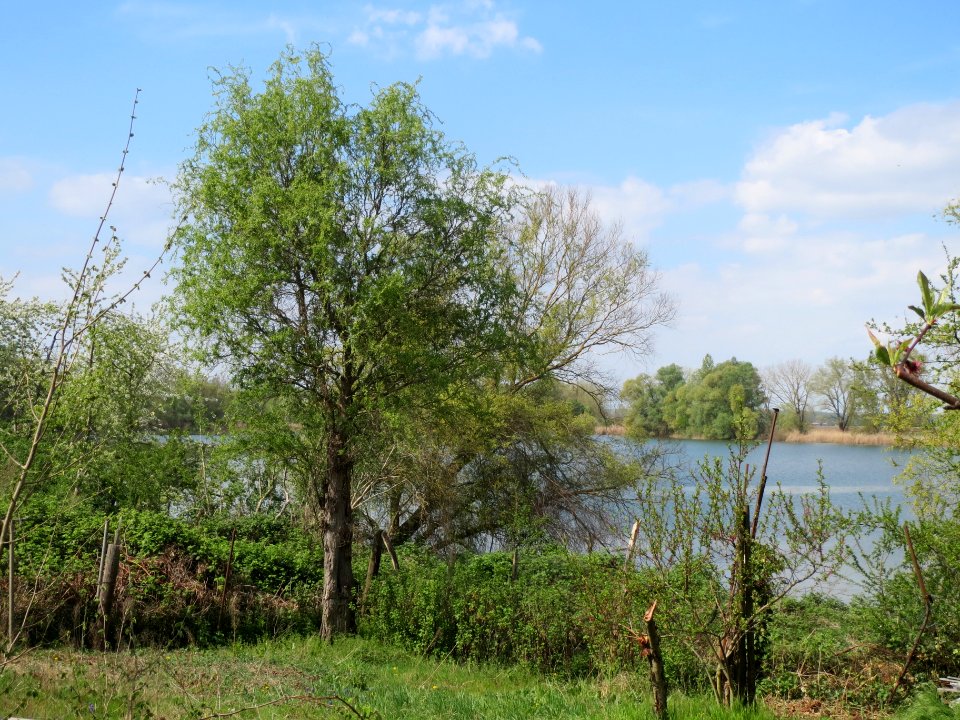 20140406Baggersee_am_Silzgraben