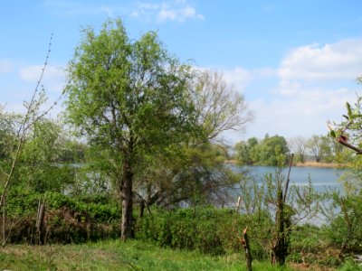 20140406Baggersee_am_Silzgraben