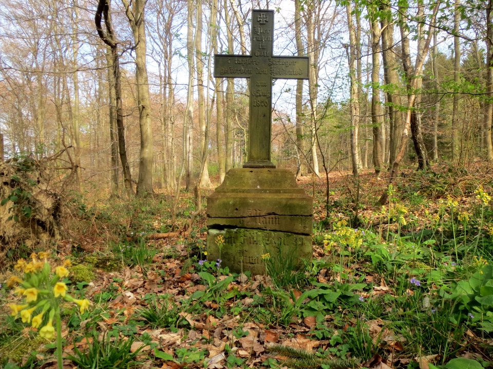 20140402Stiftswald_Sankt_Arnual08