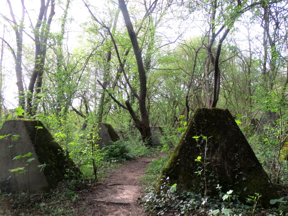 20140402Panzersperren_Winterberg2