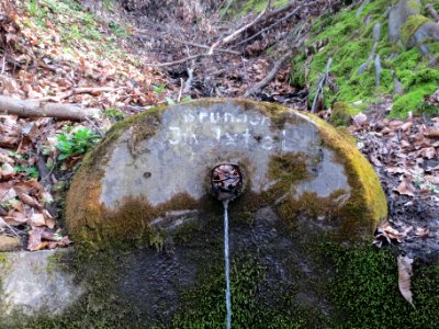 20140402Stiftswald_Sankt_Arnual05