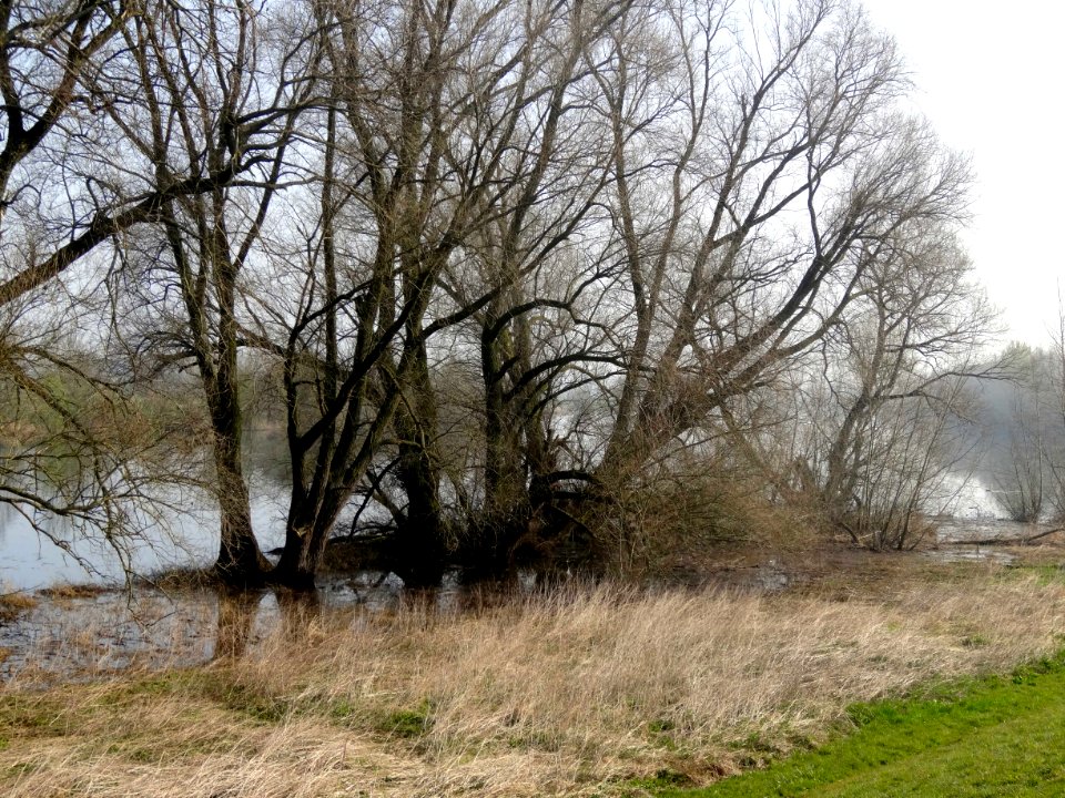 20150410_Het_Zwarte_Schaar1_IJssel_nabij_Doesburg