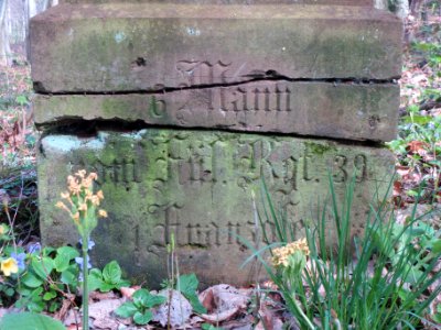 20140402Stiftswald_Sankt_Arnual12