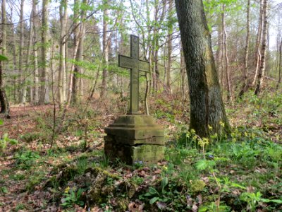 20140402Stiftswald_Sankt_Arnual09