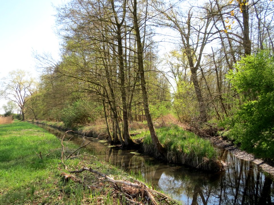 20150420Marlach