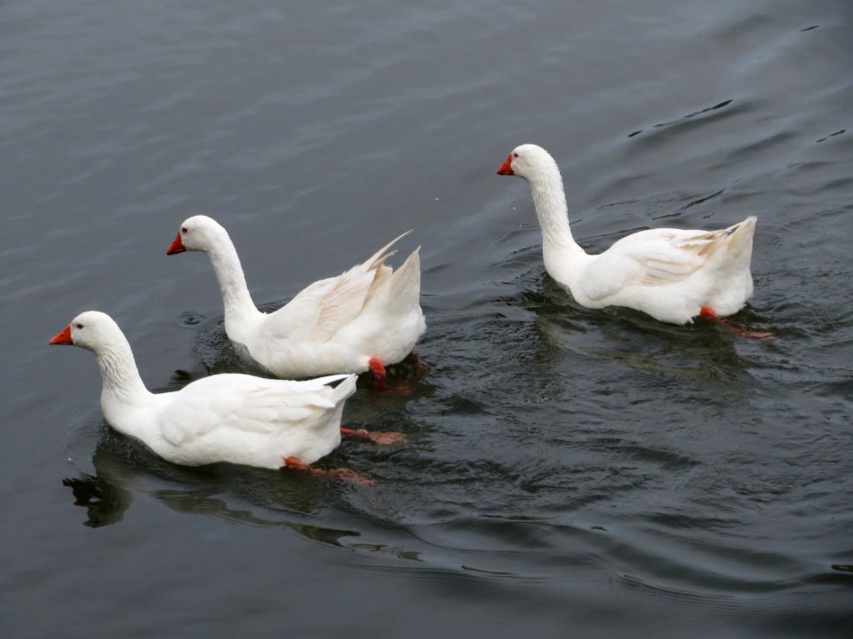 20150416Guedinger_Schleuse3