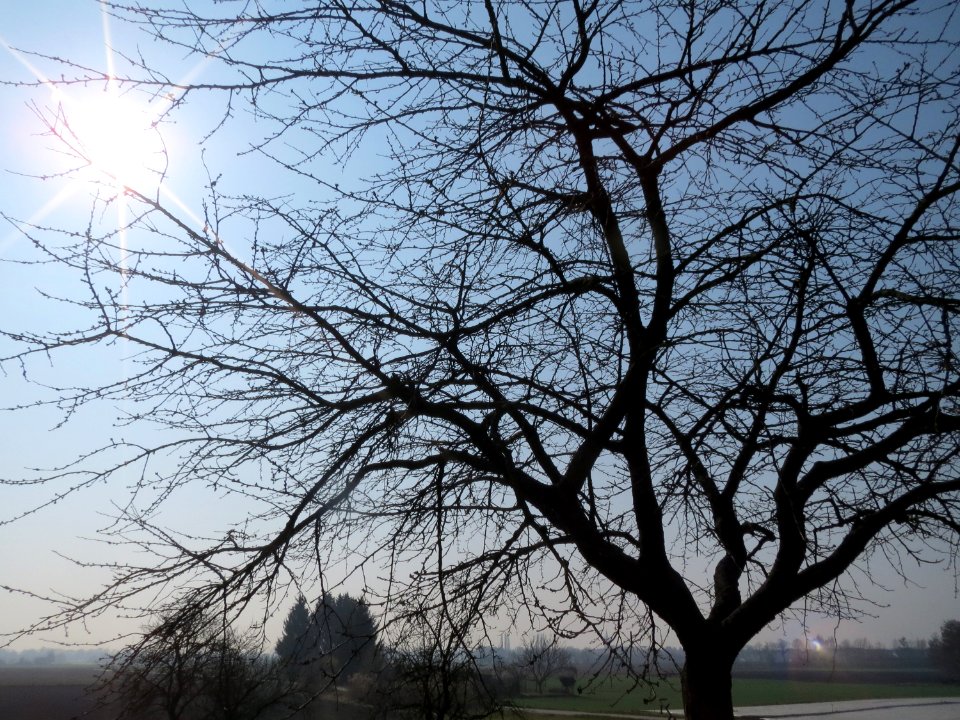 20150320Sonnenfinsternis_Hockenheim3