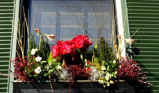 2015_Flower_box,_Beacon_Hill_-_Boston,_MA_-_DSC04215