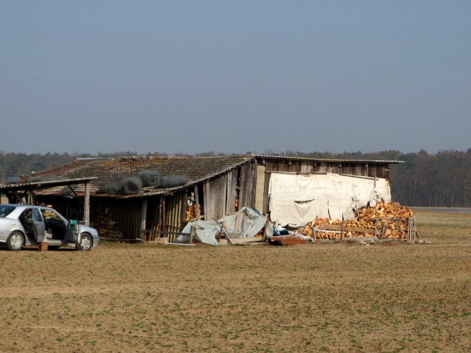 20150320Schuppen2