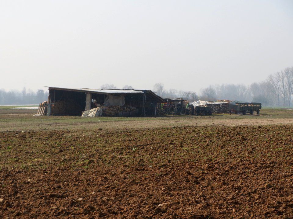 20150320Schuppen1