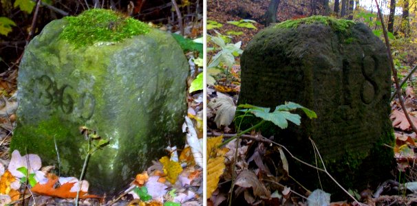 2015_Zauckerode_Weißig_Grenzsteine_1