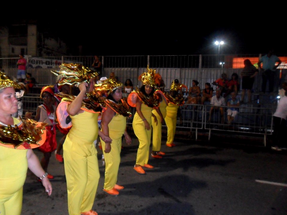 2015-02-15_-_Acadêmicos_de_Vigário_Geral_(13)