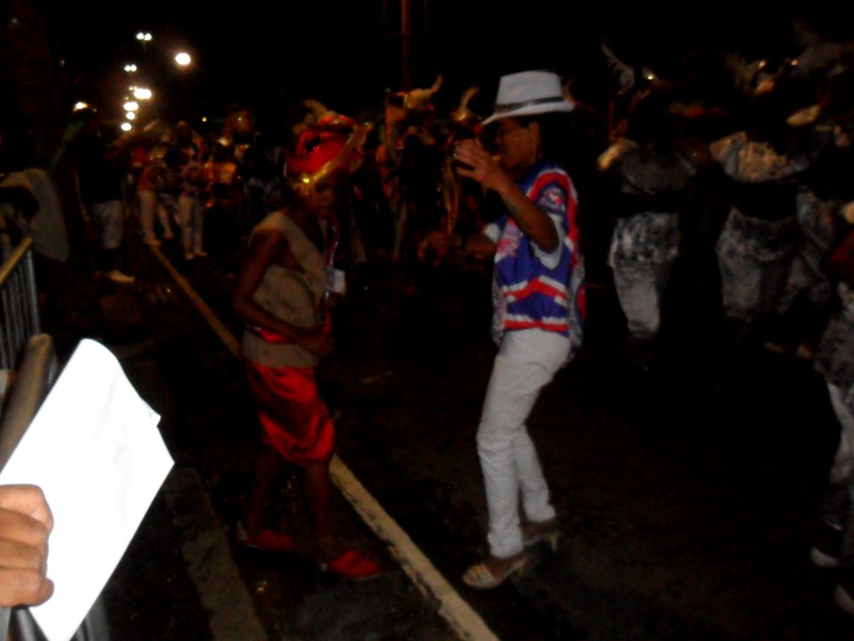 2015-02-15_-_Acadêmicos_de_Vigário_Geral_(18)