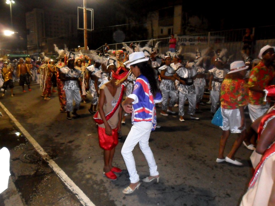 2015-02-15_-_Acadêmicos_de_Vigário_Geral_(15)