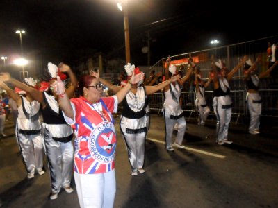 2015-02-15_-_Acadêmicos_de_Vigário_Geral_(1)