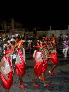 2015-02-15_-_Acadêmicos_de_Vigário_Geral_(14)
