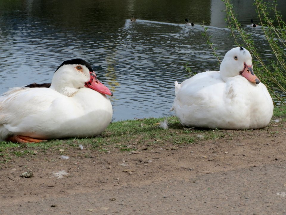20150416Guedinger_Schleuse4