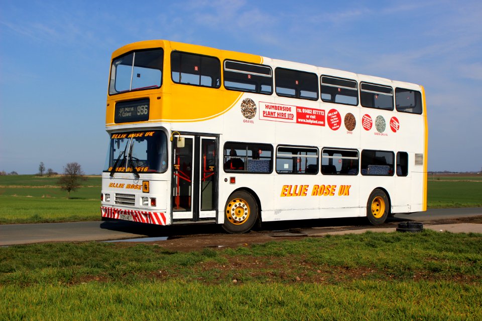 20150402_Ellie_Rose_N135_AET