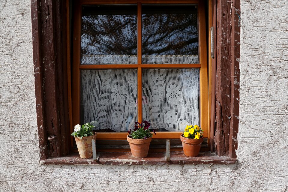 Window flowers pot