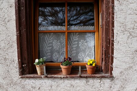 Window flowers pot