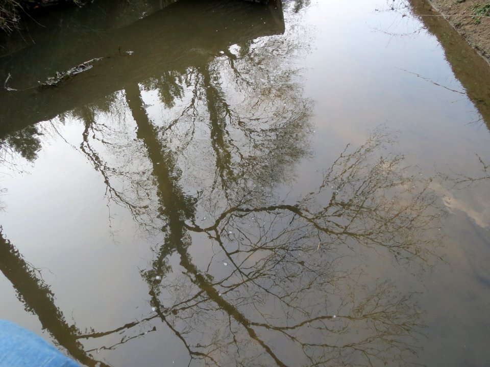 20150322Kriegbach2