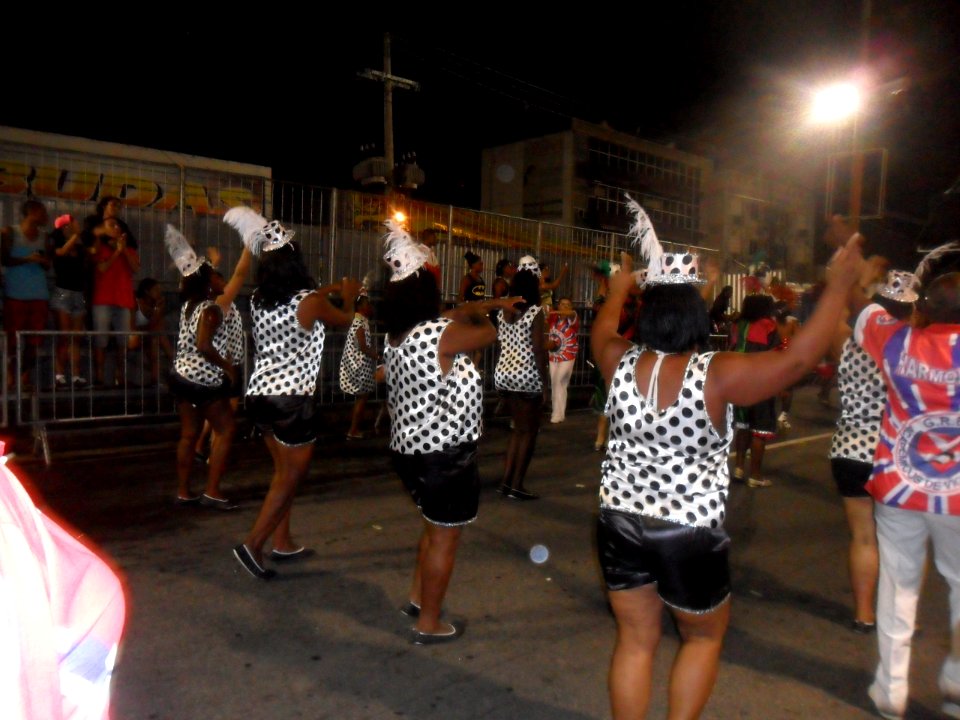 2015-02-15_-_Acadêmicos_de_Vigário_Geral_(38)