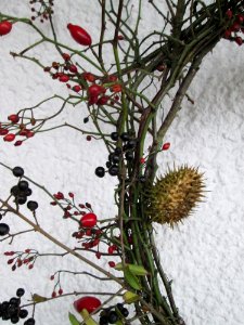 20141130Rosenkranz4
