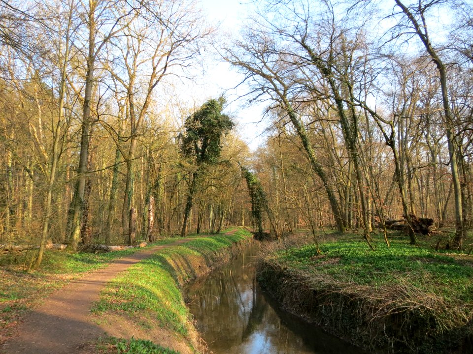 20150322Kriegbach1
