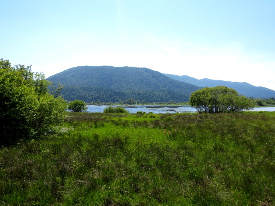 2015-5-Slivnica&Cerkniško_jezero_(49)