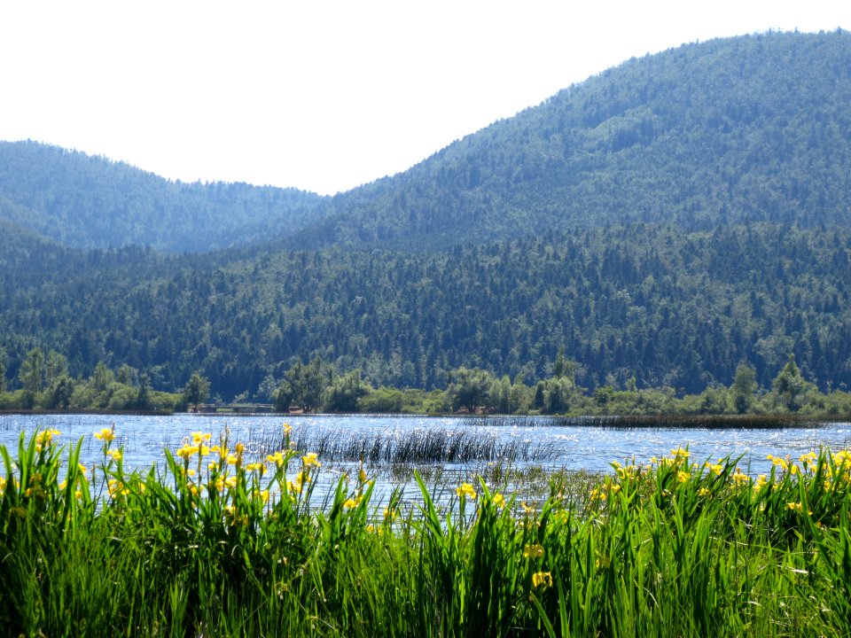 2015-5-Slivnica&Cerkniško_jezero_(55)