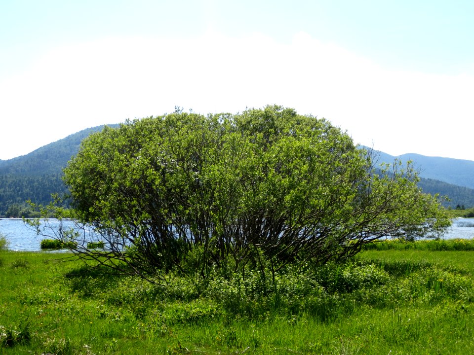 2015-5-Slivnica&Cerkniško_jezero_(51)