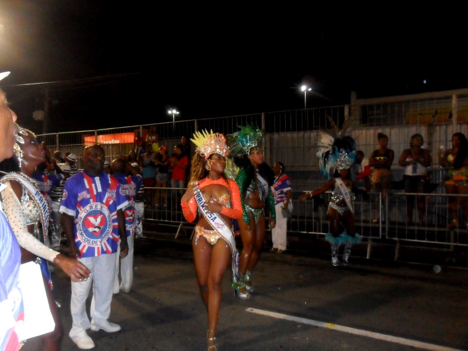 2015-02-15_-_Acadêmicos_de_Vigário_Geral_(29)