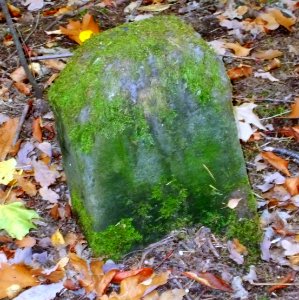 2015_Zauckerode_Weißig_Grenzsteine_2