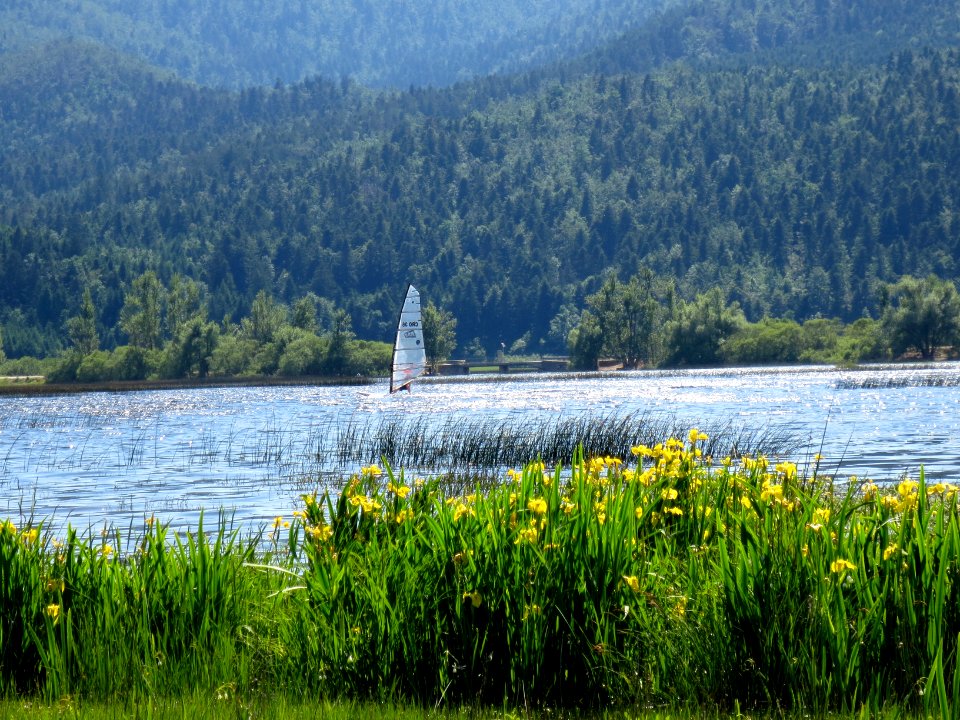 2015-5-Slivnica&Cerkniško_jezero_(66)