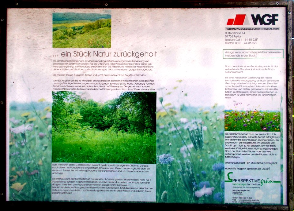 2015_Zauckerode_Saalhausner_Straße_1