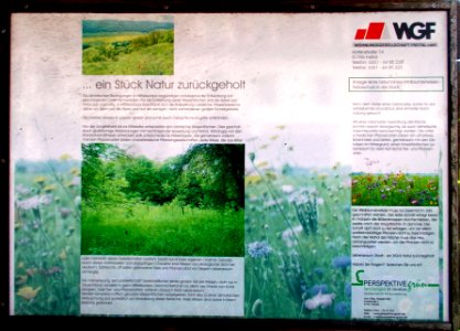 2015_Zauckerode_Saalhausner_Straße_1
