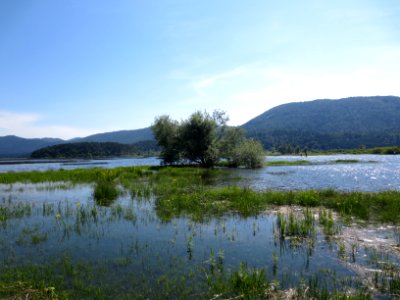 2015-5-Slivnica&Cerkniško_jezero_(83)