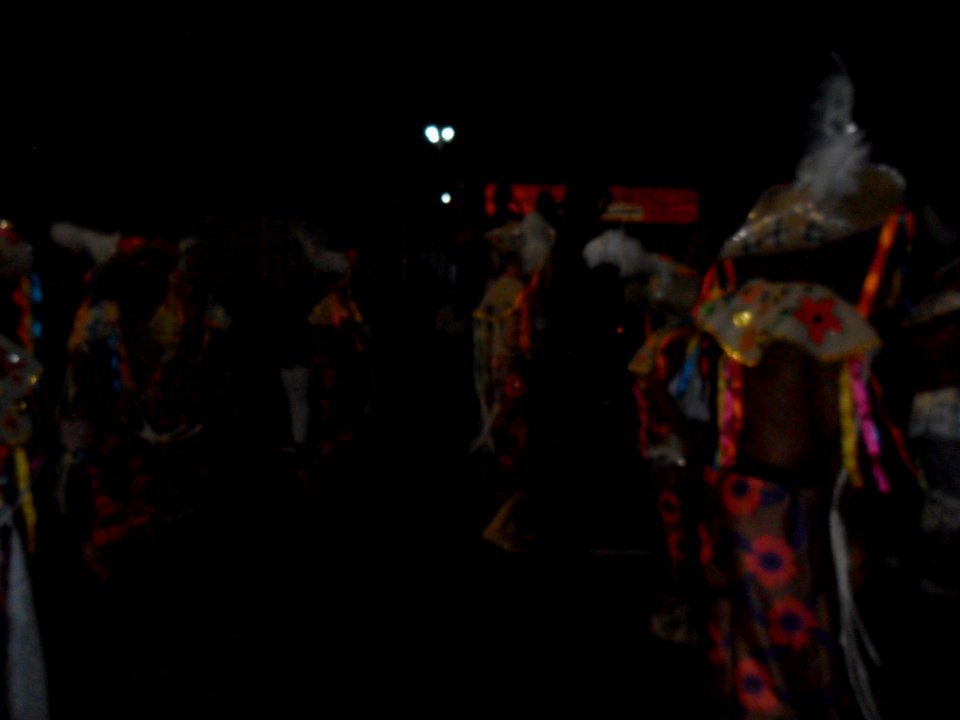 2015-02-15_-_Acadêmicos_de_Vigário_Geral_(19)