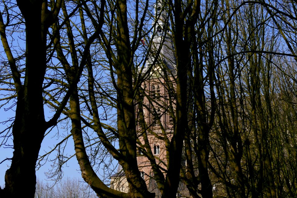 2015.02.16.141151_Sint-Janskathedraal_behind_winter_trees_'s-Hertogenbosch