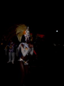 2015-02-15_-_Acadêmicos_de_Vigário_Geral_(22)