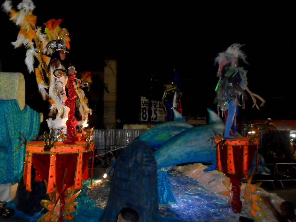 2015-02-15_-_Acadêmicos_de_Vigário_Geral_(10)