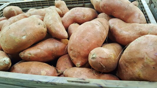 Grocery tuber root vegetable photo