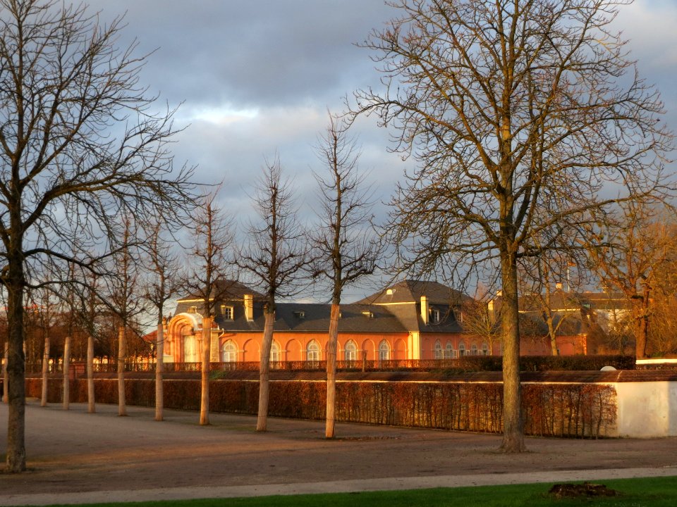 20150111Schlossgarten_Schwetzingen