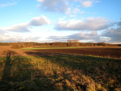 20150202Hockenheim1