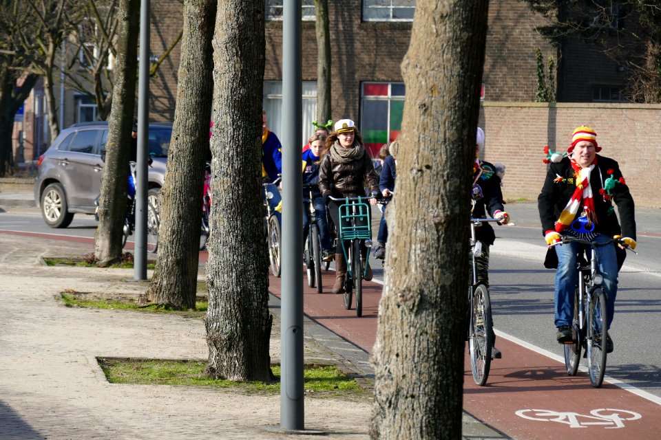 2015.02.16.135209_Bicycle_riders_Carnival_Parklaan_'s-Hertogenbosch