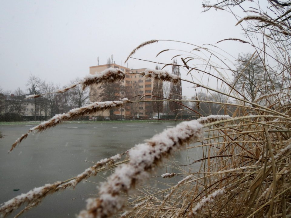 20150124Gartenschaupark_Hockenheim2
