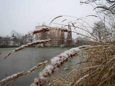 20150124Gartenschaupark_Hockenheim2