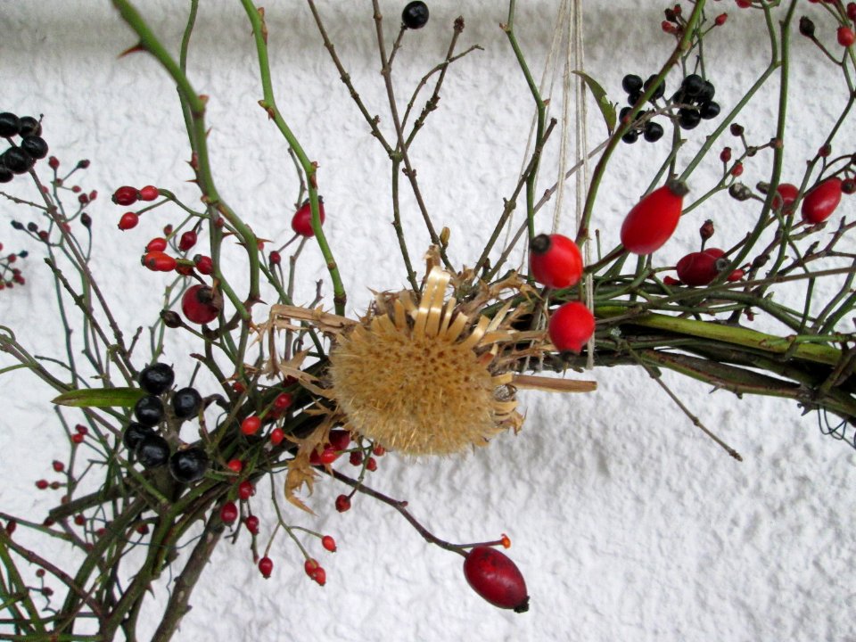 20141130Rosenkranz2
